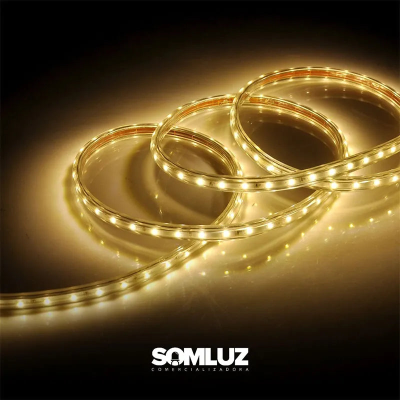 Manguera 25m Luz Blanco Frío o Luz Blanco Cálido