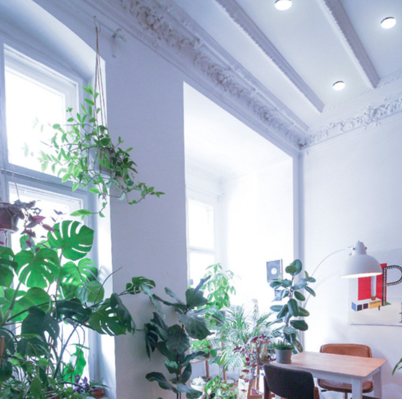 Sobreponer en Techo Exterior