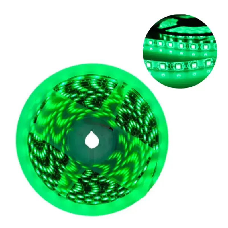 Tira Luz Led Exterior 5m Ip66 Aguiled