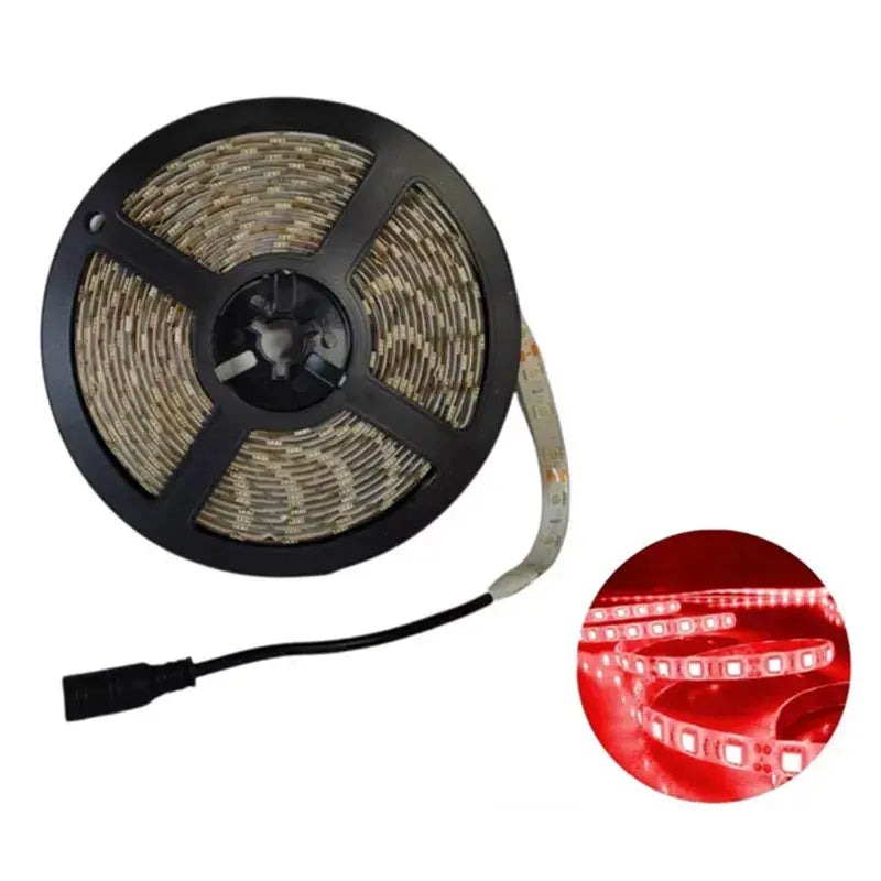 Tira Luz Led Exterior 5m Ip66 Aguiled