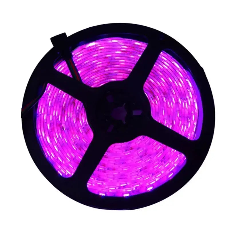 Tira Luz Led Exterior 5m Ip66 Aguiled