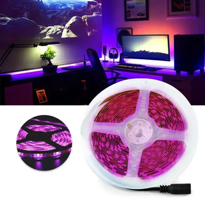 Tira Luz Led Exterior 5m Ip66 Aguiled