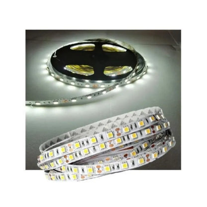 Tira Luz Led Interior 4040 5m IP33 Lumicraft